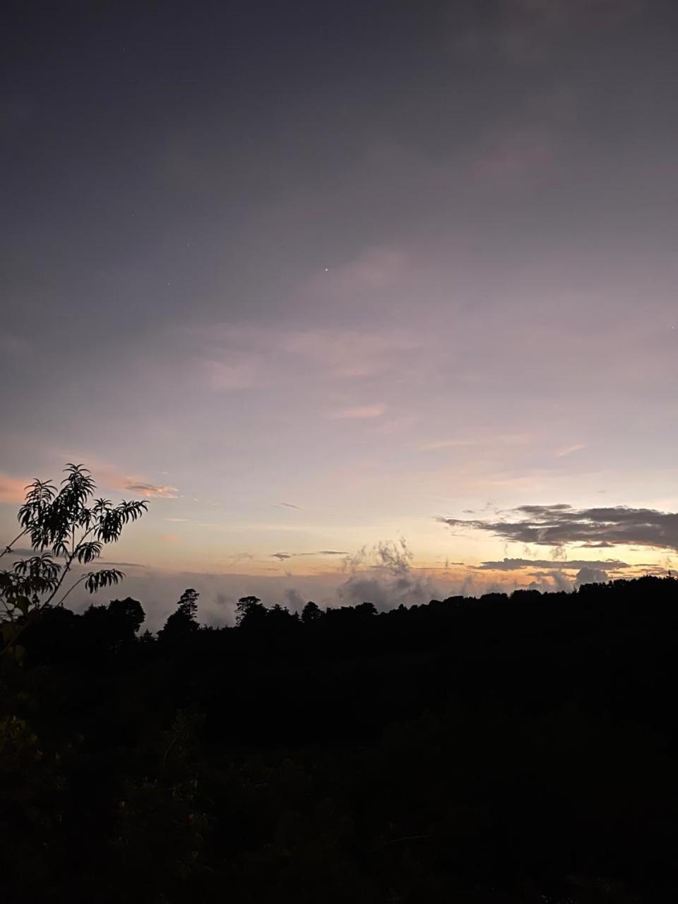 Casa Monte Armadillo Poas ภายนอก รูปภาพ